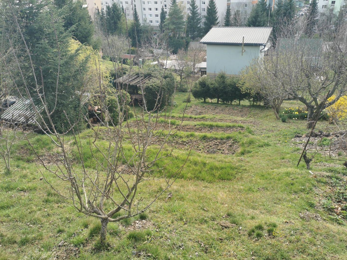 Na predaj záhradka v Liptovskom Mikuláši – lokalita Podbreziny sever