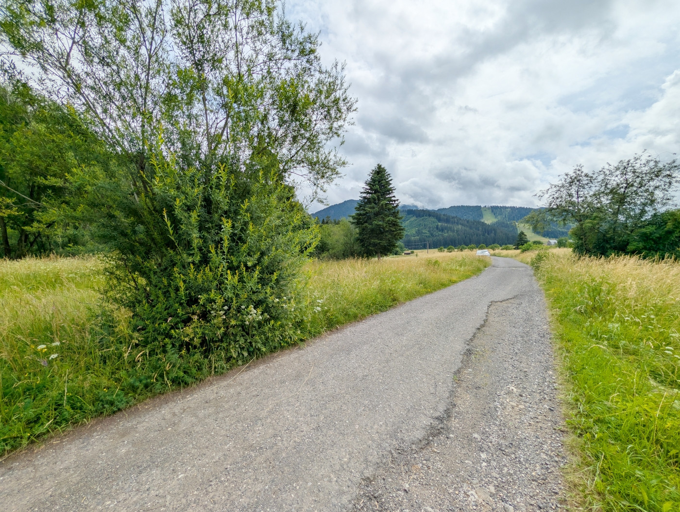 Pozemky Liptov: Orná pôda a trvalé trávne porasty 6255 m2