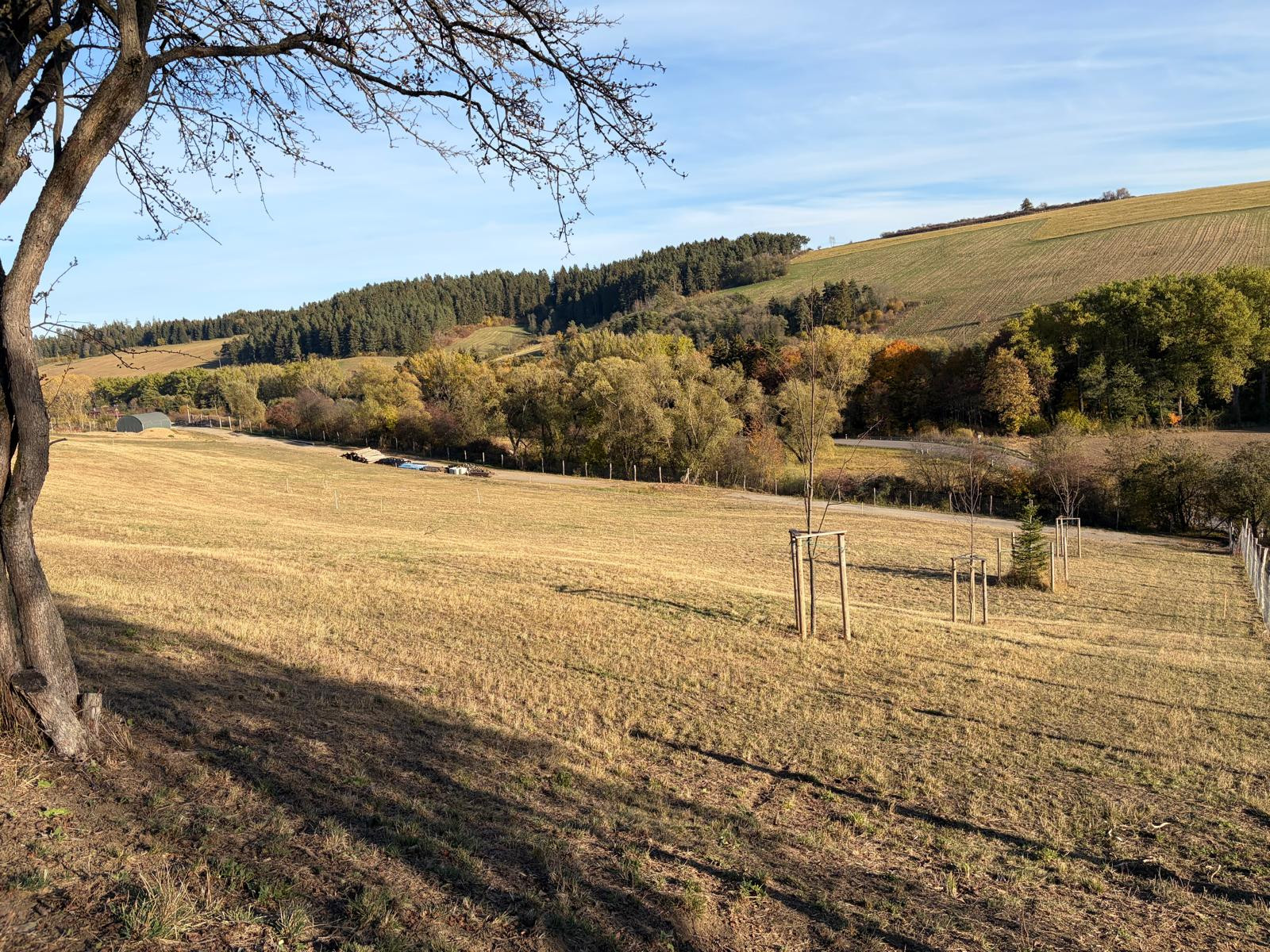 Stavebné pozemky na predaj v Beňadikovej