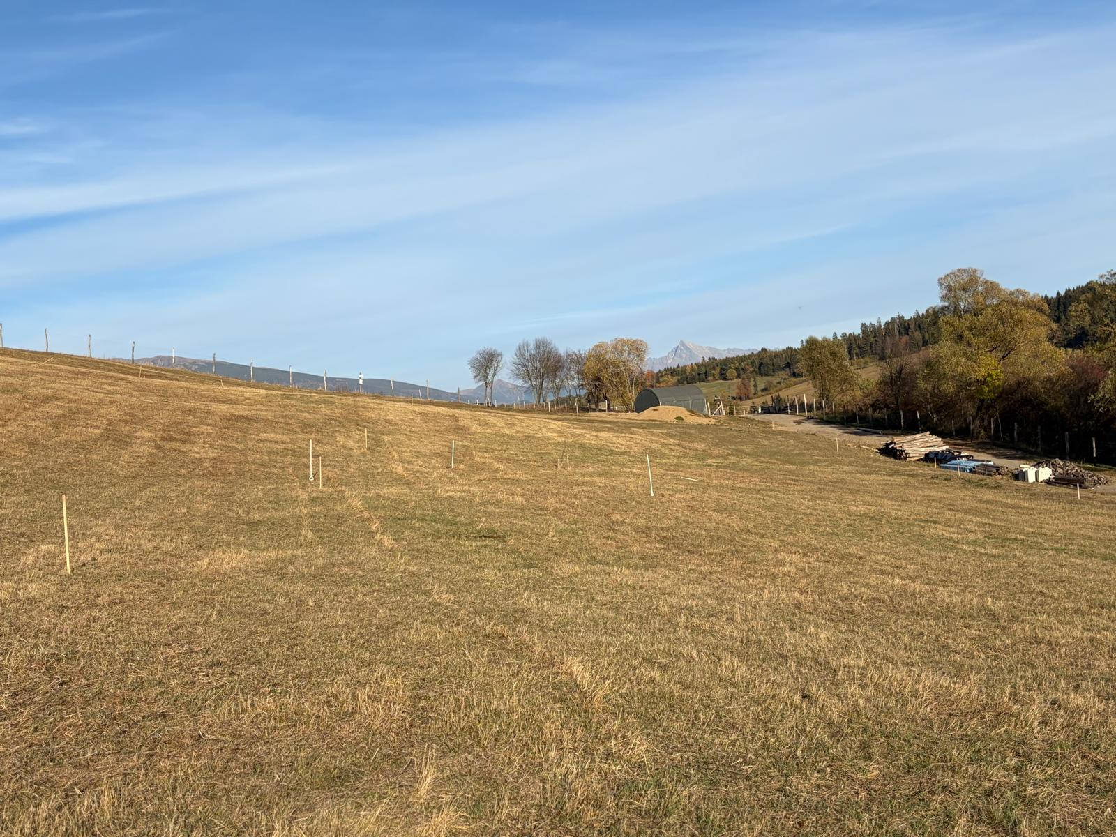Stavebné pozemky na predaj v Beňadikovej