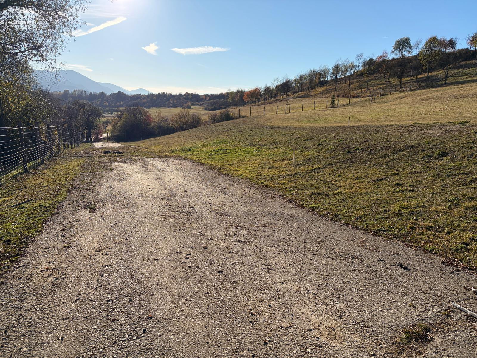 Stavebné pozemky na predaj v Beňadikovej