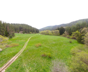 Rekreačný pozemok v lese, Hybe