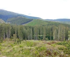 Exkluzívny 1-spálňový apartmán na predaj v Swissôtel Damian Jasna