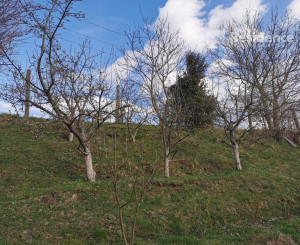 Na predaj záhradka v Liptovskom Mikuláši – lokalita Podbreziny sever