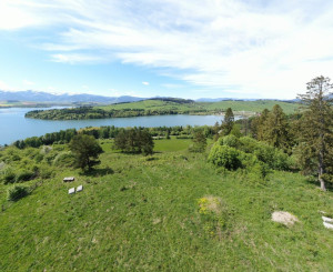 Lukratívny pozemok pri Liptovskej Mare na predaj