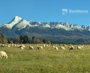 Stavebný pozemok pod Kriváňom – Východná