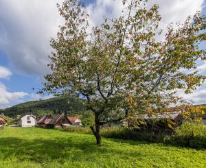 Rodinný dom s dvomi bytmi – Hubová, okres Ružomberok