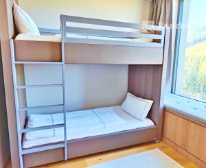 2-izbový Apartmán v hoteli Swissotel Damian Jasná