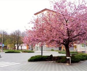 Prenájom moderného 3‑izbového bytu s podlahovým kúrením – Ružomberok, Polík