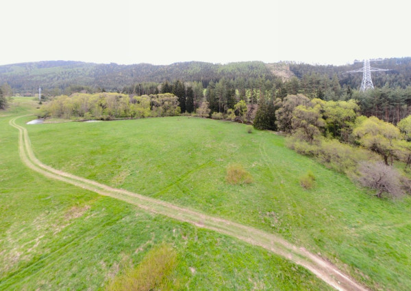 Rekreačný pozemok v lese, Hybe