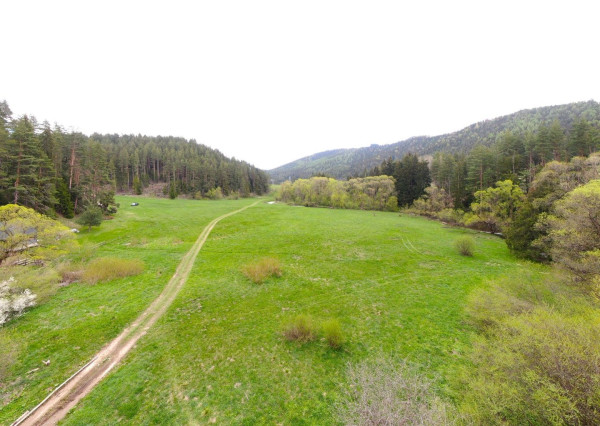 Rekreačný pozemok v lese, Hybe