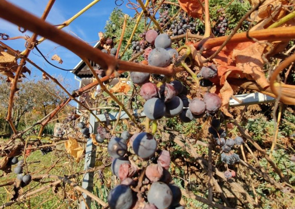 Záhradná chatka na predaj, Liptovský Mikuláš