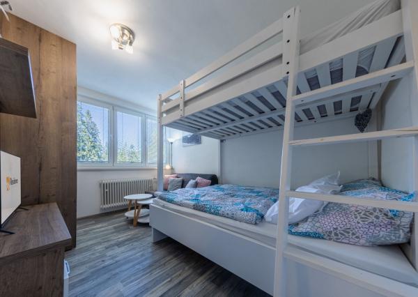 1-izbový byt s garážou v Demänovskej doline, Jasná