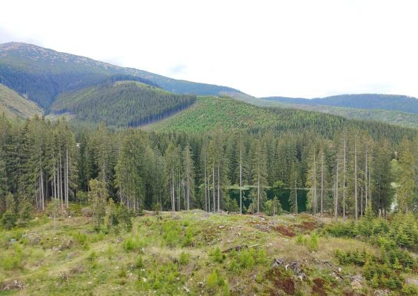 Exkluzívny 1-spálňový apartmán na predaj v Swissôtel Damian Jasna