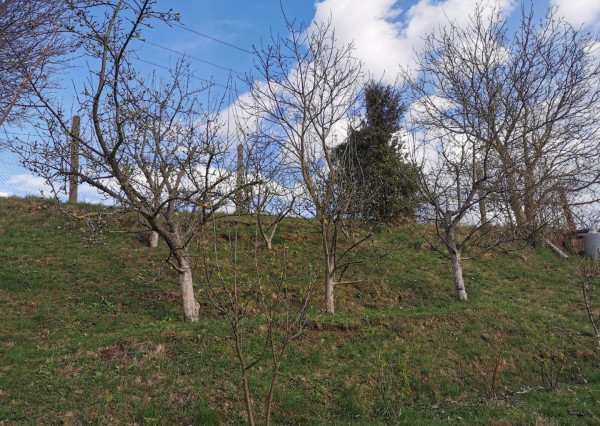 Na predaj záhradka v Liptovskom Mikuláši – lokalita Podbreziny sever