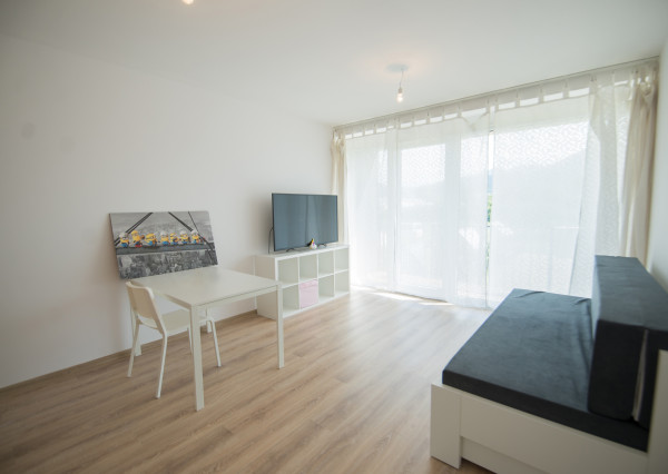 Prenájom 1- izbového bytu so zahradou v Stošiciach