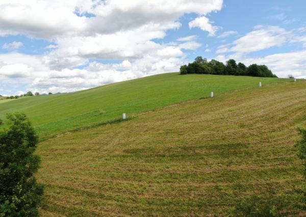 Znížená cena - Stavebný pozemok v Bukovine