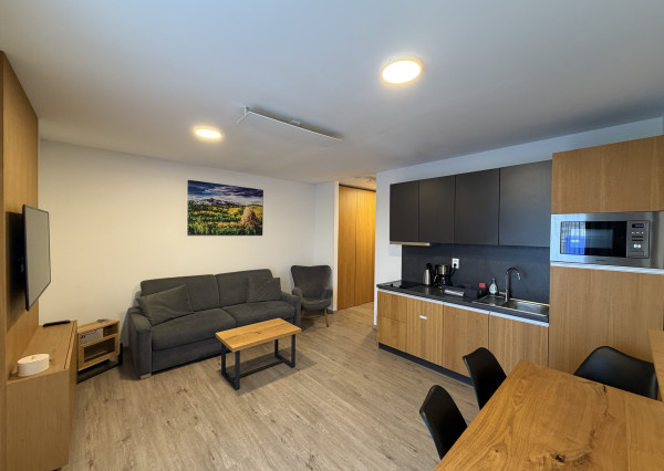 Na predaj štýlový 1-izbový apartmán v rezorte Maladinovo