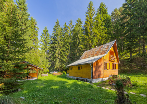 Drevenica uprostred lesa – pokoj v Liptovskom Jáne