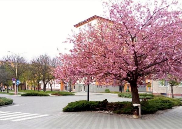 Prenájom moderného 3‑izbového bytu s podlahovým kúrením – Ružomberok, Polík