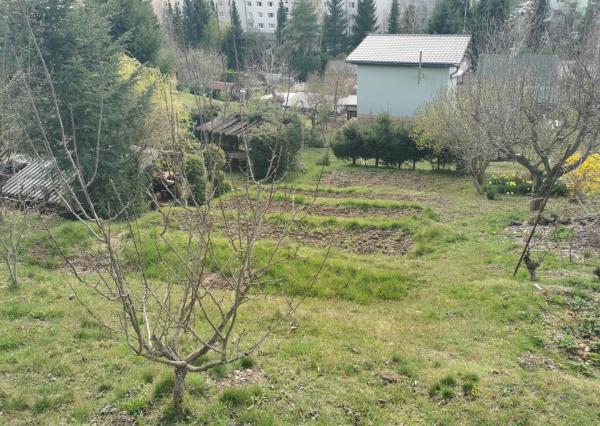 Na predaj záhradka v Liptovskom Mikuláši – lokalita Podbreziny sever