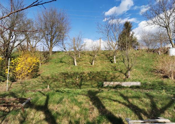 Na predaj záhradka v Liptovskom Mikuláši – lokalita Podbreziny sever