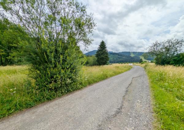Pozemky Liptov: Orná pôda a trvalé trávne porasty 6255 m2