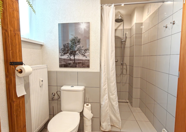 Zrekonštruovaný tehlový byt s krbom, Jesenského v LM