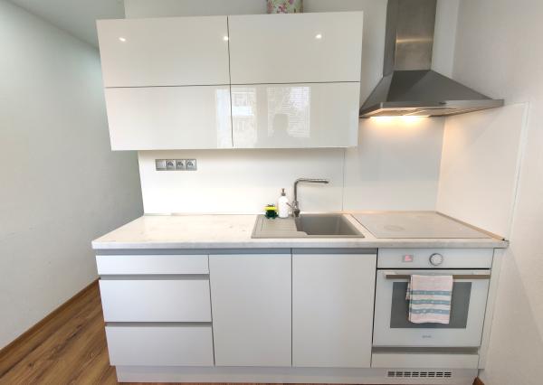 MODERN & FULLY RENOVATED 2-ROOM APARTMENT FOR RENT
