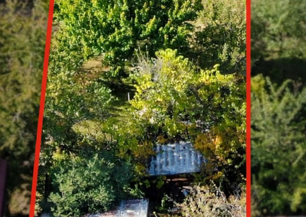 Predaj: Záhradka s chatkou - Záhradné mesto Západ, L. Mikuláš