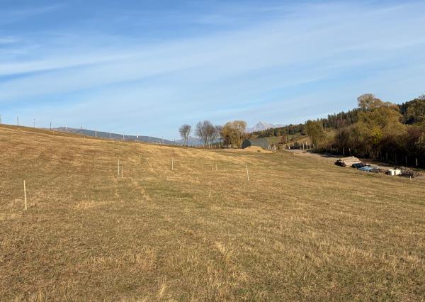 Stavebné pozemky na predaj v Beňadikovej