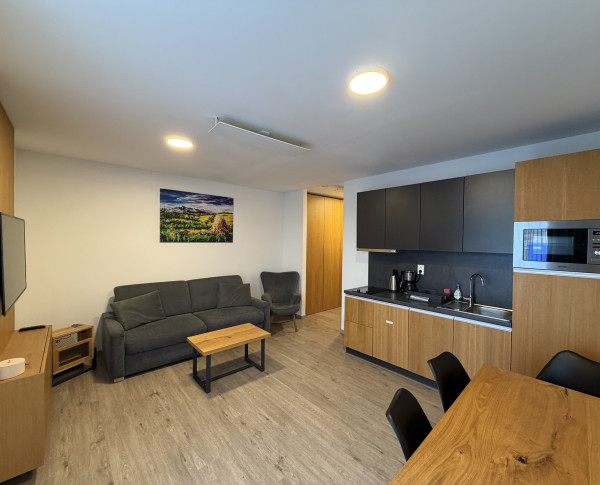 Na predaj štýlový 1-izbový apartmán v rezorte Maladinovo