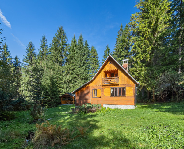 Drevenica uprostred lesa – pokoj v Liptovskom Jáne