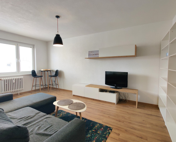 MODERN & FULLY RENOVATED 2-ROOM APARTMENT FOR RENT